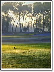 Vacation Rental Photo