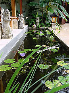 Vacation Rental Photo