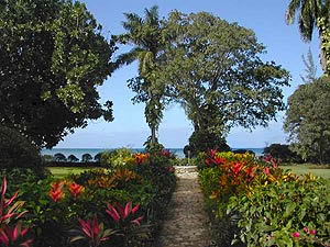 Vacation Rental Photo