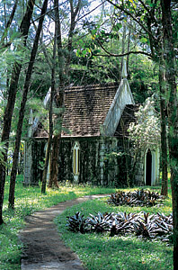 Vacation Rental Photo