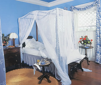 Vacation Rental Photo