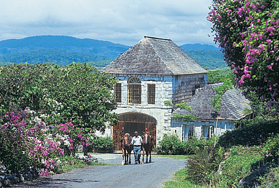 Good Hope Plantation Villa In Jamaica Photo