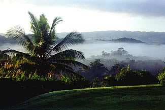 Vacation Rental Photo