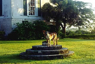Vacation Rental Photo