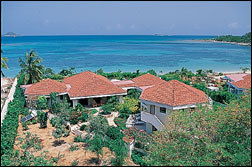 Sea Fans  Villa In Virgin Gorda Photo