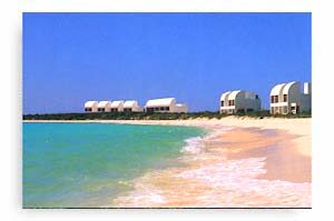 Vacation Rental Photo