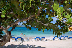 Vacation Rental Photo
