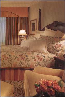 Vacation Rental Photo