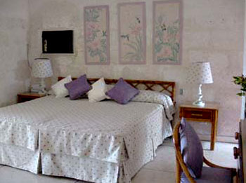 Vacation Rental Photo