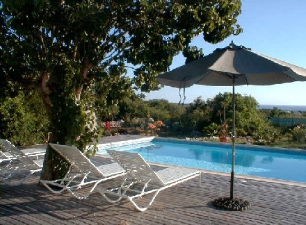 Vacation Rental Photo