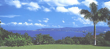 SUMMERTIME Villa In Jamaica Photo