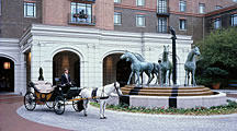 Charleston Place Hotel/Resort In South Carolina Photo
