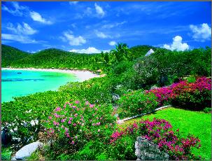 Vacation Rental Photo
