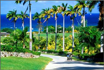 Vacation Rental Photo