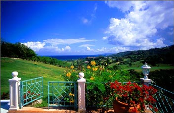 Vacation Rental Photo