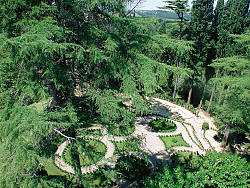 Vacation Rental Photo