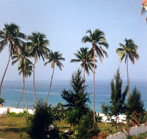 Rincon Villa  - Puerto Rico Condo In  Photo