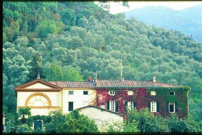 Vacation Rental Photo