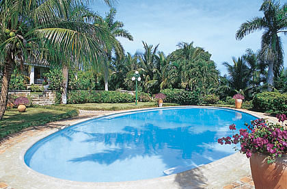 Drambuie Villa In Jamaica Photo