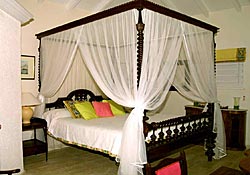 Vacation Rental Photo