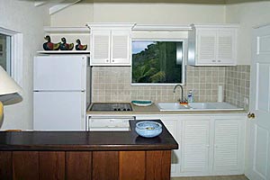 Vacation Rental Photo