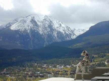 Vacation Rental Photo