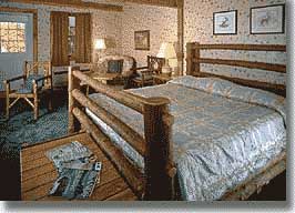 Vacation Rental Photo