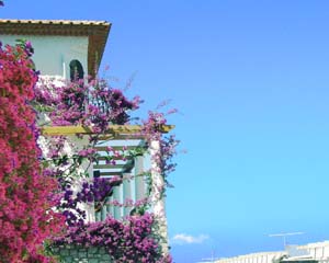 Casa Lubrense...............5 Star.....Sorrento Coast  Villa In Sorrento Photo