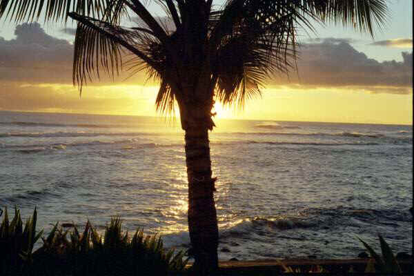 Vacation Rental Photo