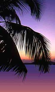 Vacation Rental Photo