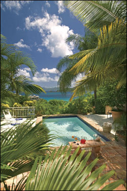 Rivendell Villa In St John Photo