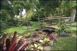 Villa Botanica Villa In St Thomas Photo