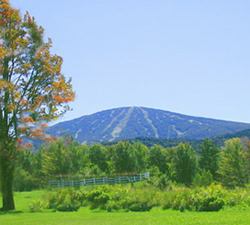 The Red Fox Inn Farmhouse In Vermont Photo