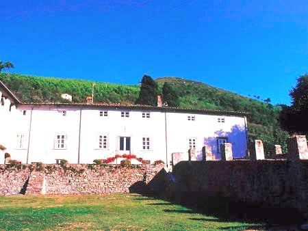 wonderful land of Tuscany. Villa In Lucca Photo