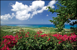 Vacation Rental Photo
