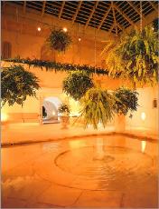 Vacation Rental Photo