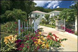 St.John  Christmas availability DEC 22-27th Villa In St John Photo