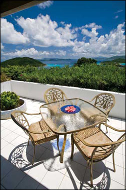 GREAT VIEW Villa In St Thomas Photo