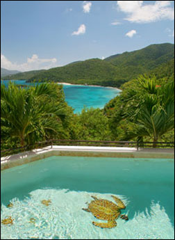 Vacation Rental Photo