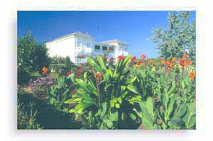 Vacation Rental Photo
