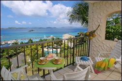 Amethyst Villa In St Thomas Photo