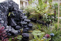Vacation Rental Photo