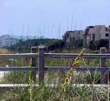 Vacation Rental Photo